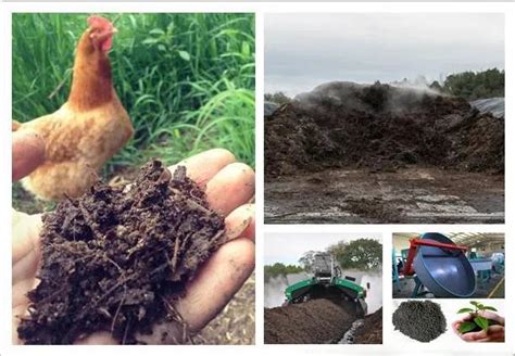 Chicken Manure Crusher: Revolutionizing Poultry Waste Management