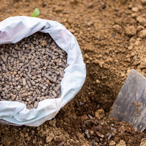 Chicken Manure Fertilizer Pellets: A Comprehensive Guide to Boost Crop Yields