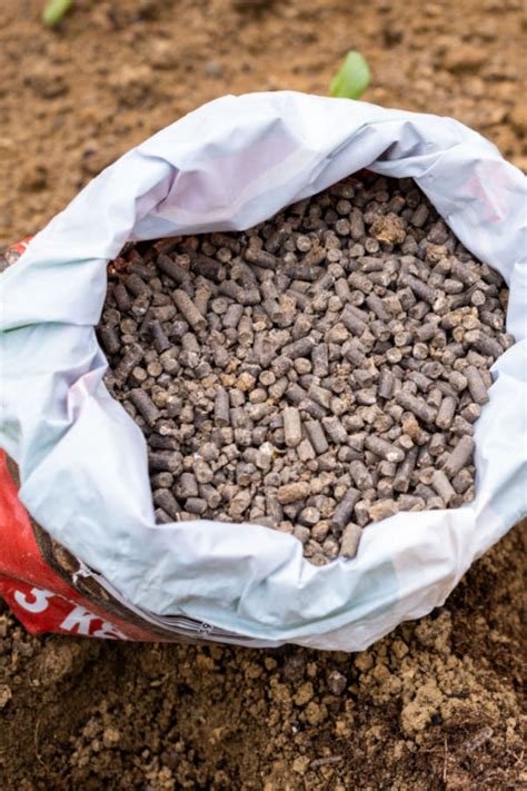 Chicken Manure Fertilizer Pellets: Your Guide to 10,000 Bountiful Harvests