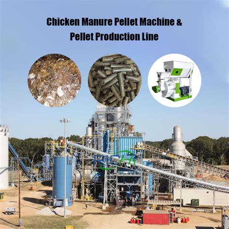 Chicken Manure Pellet Machine: The Eco-Friendly Solution for 30,000 Poultry Farms