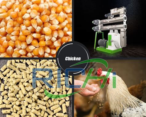 Chicken Manure Pellet Machine: Turn Waste into Value