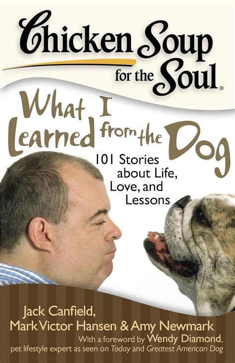 Chicken Soup for the Soul: What I Learned from the Cat: 101 Stories about Life PDF