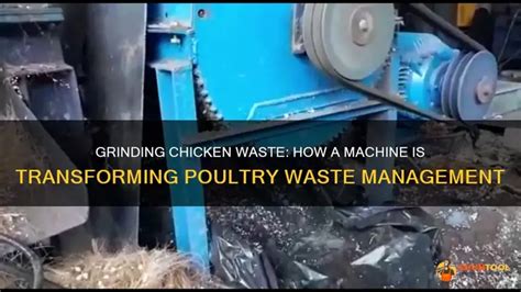 Chicken Waste Composting Machine: A Comprehensive Guide to Manage 100,000 Pounds of Waste