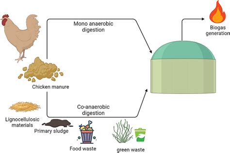 Chicken Waste Composting Machine: A Sustainable Solution for Poultry Farmers