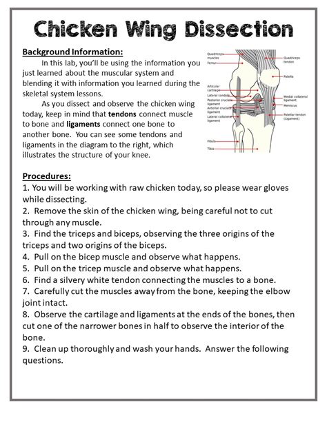 Chicken Wing Dissection - Rose James Science Classes Ebook PDF