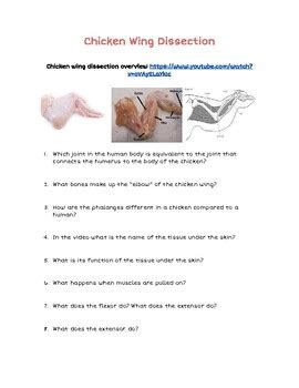 Chicken Wing Dissection Answer Key Kindle Editon