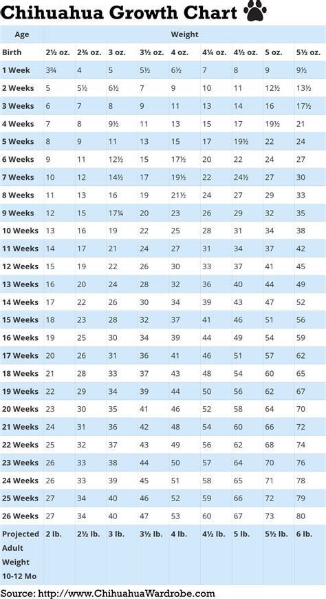 Chihuahua Dog Size Chart