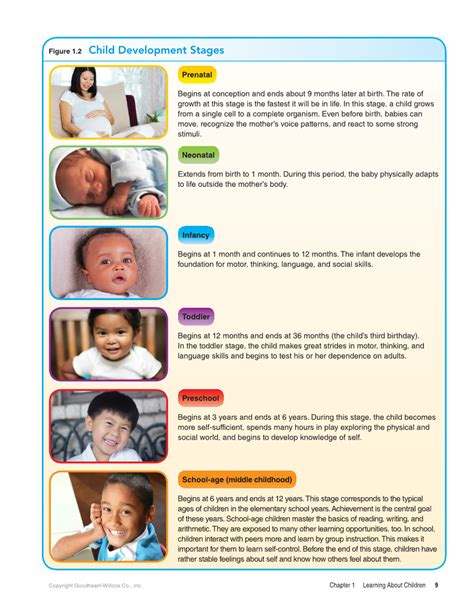 Child Development Early Stages Through Age 12 Powerpoint Presentations-site License Doc