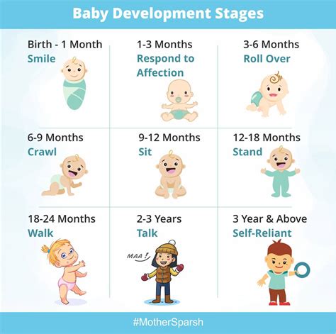 Child Development Your Baby From Birth-6 Months PDF