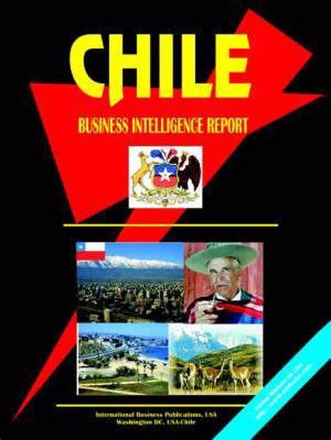 Chile Business Intelligence Report Doc