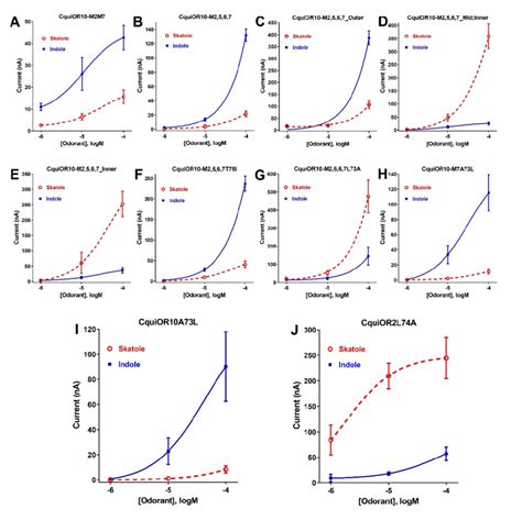 Chimeric Curves: A Fascinating Exploration of Mathematics and Aesthetics