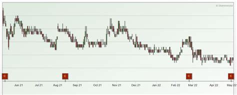 China SunSine Share Price: A Comprehensive Overview