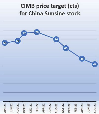 China SunSine Share Price Analysis: $17.54 Target, 16.6% Upside