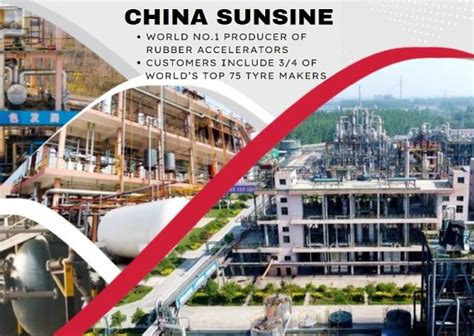 China SunSine Share Price Hits Record High: 10 Insights for Investors