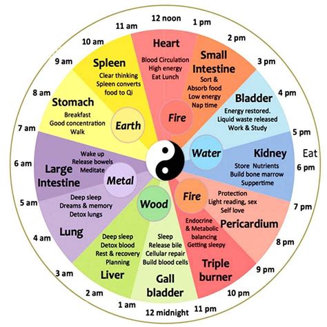 Chinese Medicine Chart