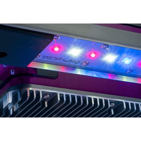 Chip On Board LED Strips: The Next-Gen Lighting Revolution