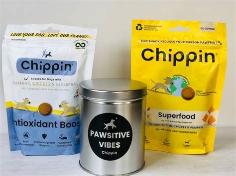 Chippin Insect Dog Food 2025: A Revolutionary VS Traditional