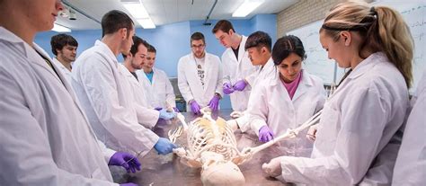 Chiropractic Schools in Iowa: Your Path to a Rewarding Healthcare Career