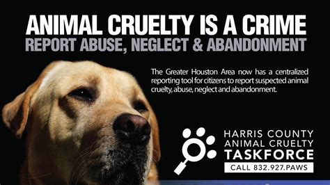 Chloe Temple: Reshaping the Fight Against Animal Abuse with the IAFD