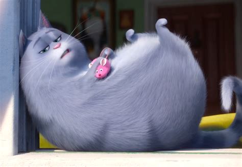 Chloe from The Secret Life of Pets: A Comprehensive Guide to America's Beloved Cat