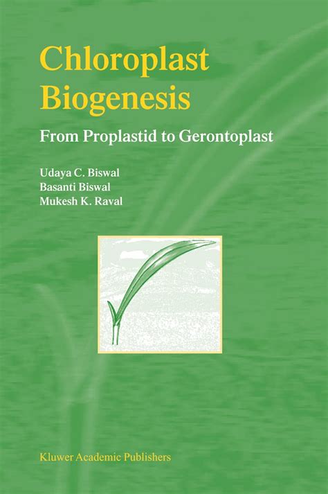 Chloroplast Biogenesis From Proplastid to Gerontoplast 1st Edition Epub