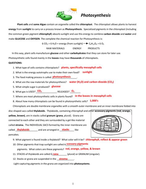 Chloroplasts And Mitochondria Answer Key Epub