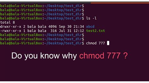 Chmod 777: