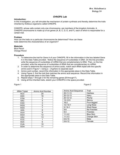 Chnops Lab Answer Key Epub