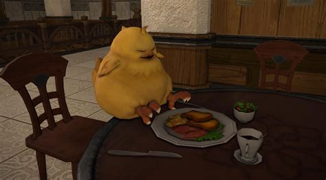 Chocobo Stable Train: The Ultimate Guide to Breeding and Racing