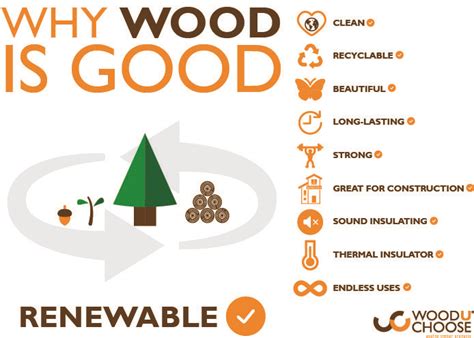 Choose Natural and Renewable Materials