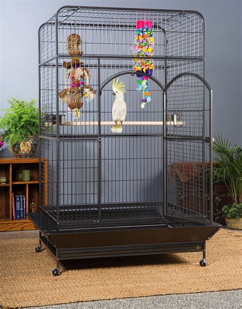 Choose a spacious cage: