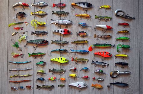 Choose the Right Lure: