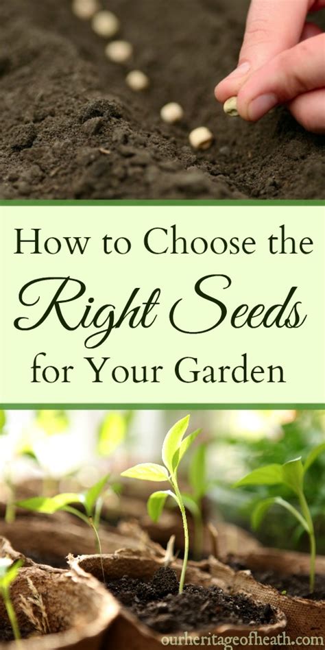 Choose the Right Seeds: