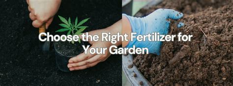 Choose the right fertilizer for your needs.