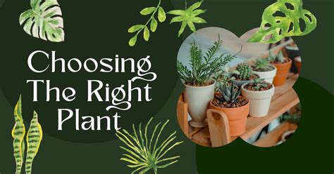 Choose the right plants: