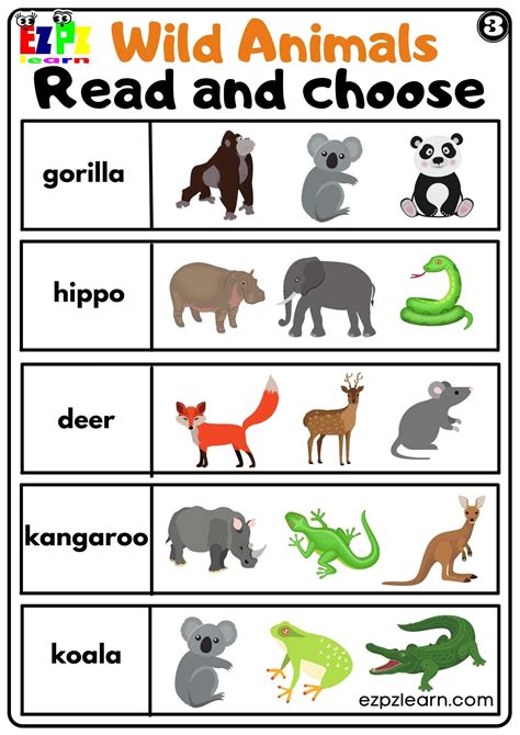 Choosing Your Animal Forms