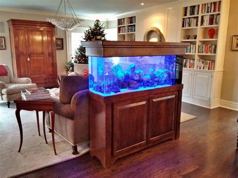 Choosing Your Aquarium and Equipment