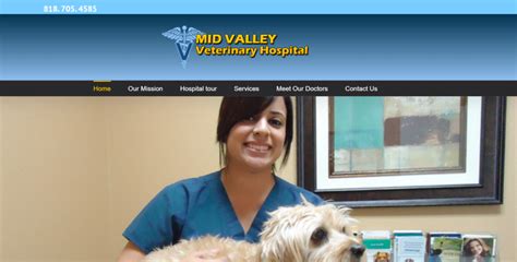 Choosing a Veterinary Clinic in Van Nuys, CA