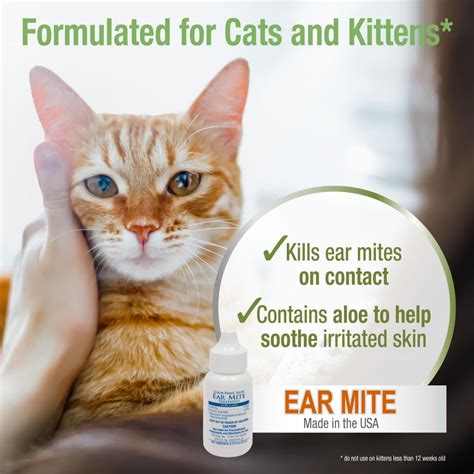 Choosing an OTC Topical Solution for Ear Mites