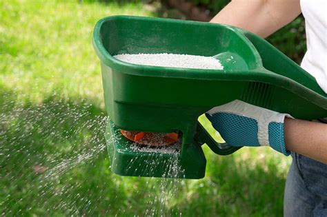 Choosing the Best Fertilizer for Your Lawn