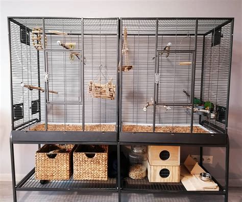 Choosing the Ideal Cage