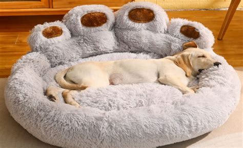 Choosing the Perfect Dog Bed House