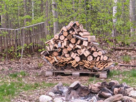 Choosing the Right Campfire Woods