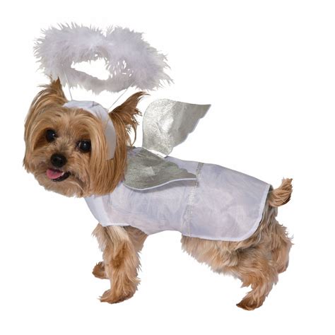 Choosing the Right Dog Angel Costume