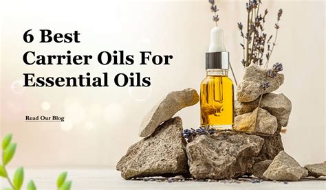 Choosing the Right Essential Oil Carrier: A Comprehensive Guide