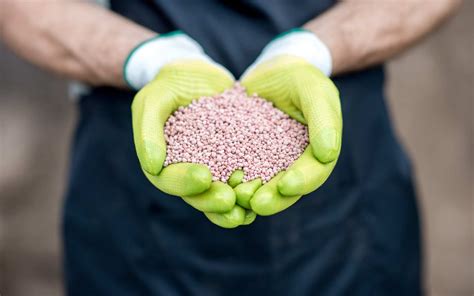 Choosing the Right Fertilizer