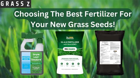 Choosing the Right Fertilizer for New Grass Seed