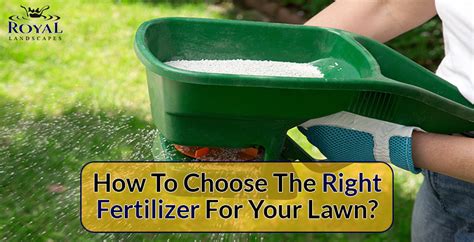 Choosing the Right Fertilizer for Your Lawn