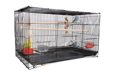 Choosing the Right Finch Bird Cage