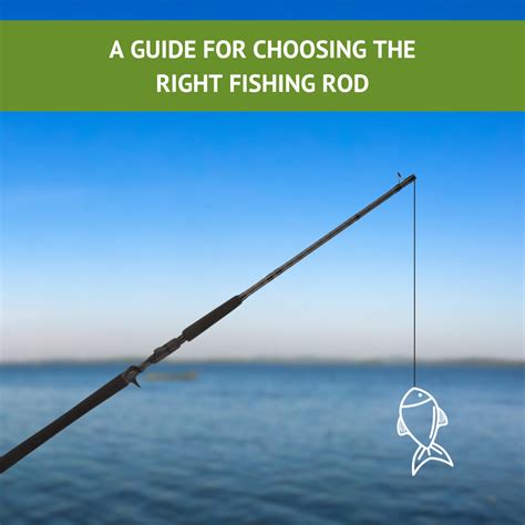 Choosing the Right Fishing Rod with Fish